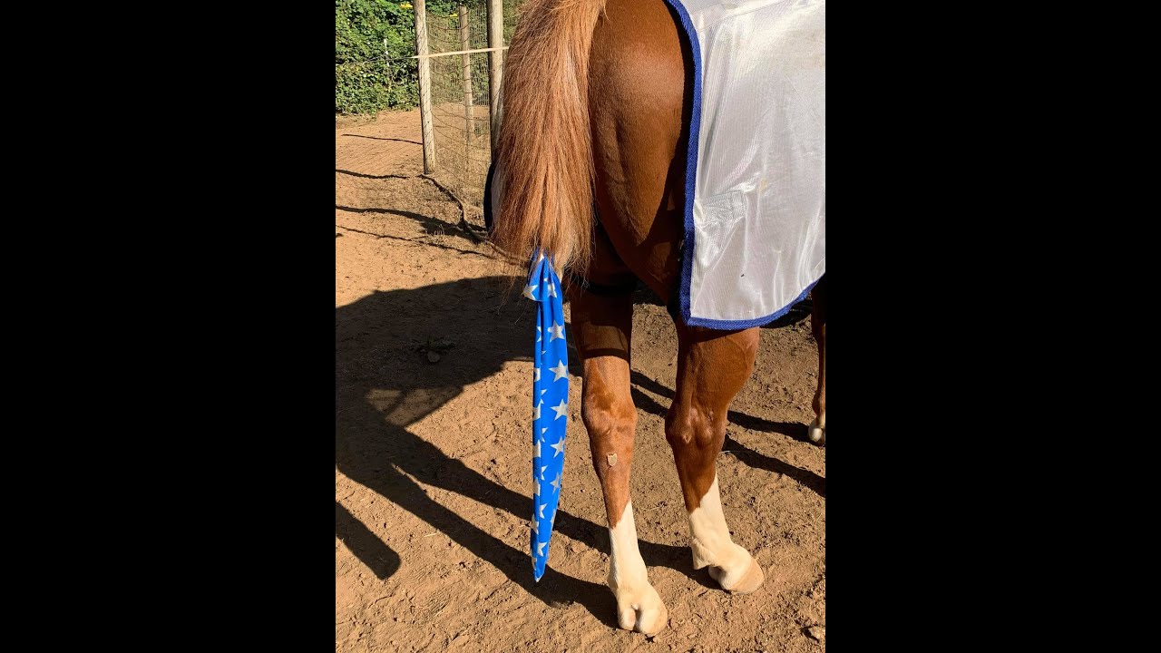 🐴How to sew a tail bag for a horse. @Equinesewingwithlesa
