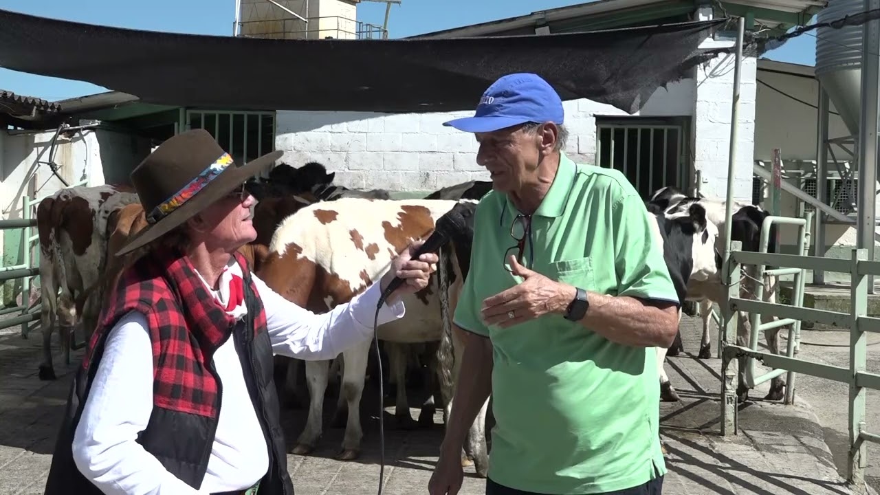AB&C Inversiones, ganado Pardo Suizo y Holstein de alta genética, BLOQUE 3 PROGRAMA FEB. 4 DE 2023