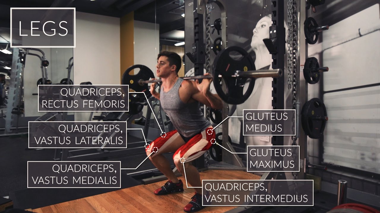 Exercise Anatomy: Legs Workout | Pietro Boselli
