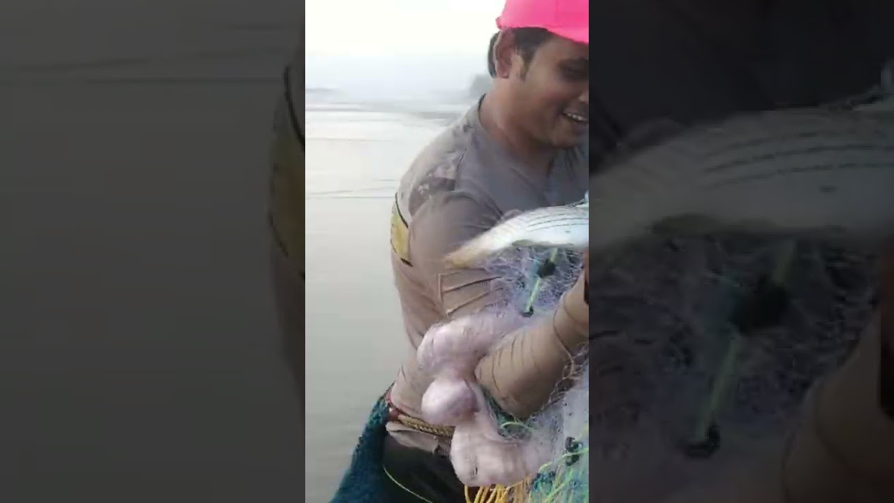 Cast Net Fishing || Konkan Fishing || Malgund Beach || Mullet Fish || पिलस मासा || बोईर मासा