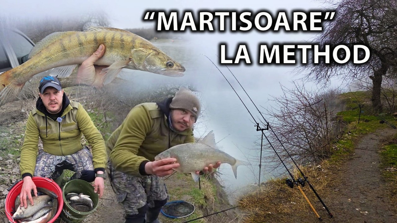 PLATICI SI CARASI MARI LA METHOD FEEDER - ESTE 