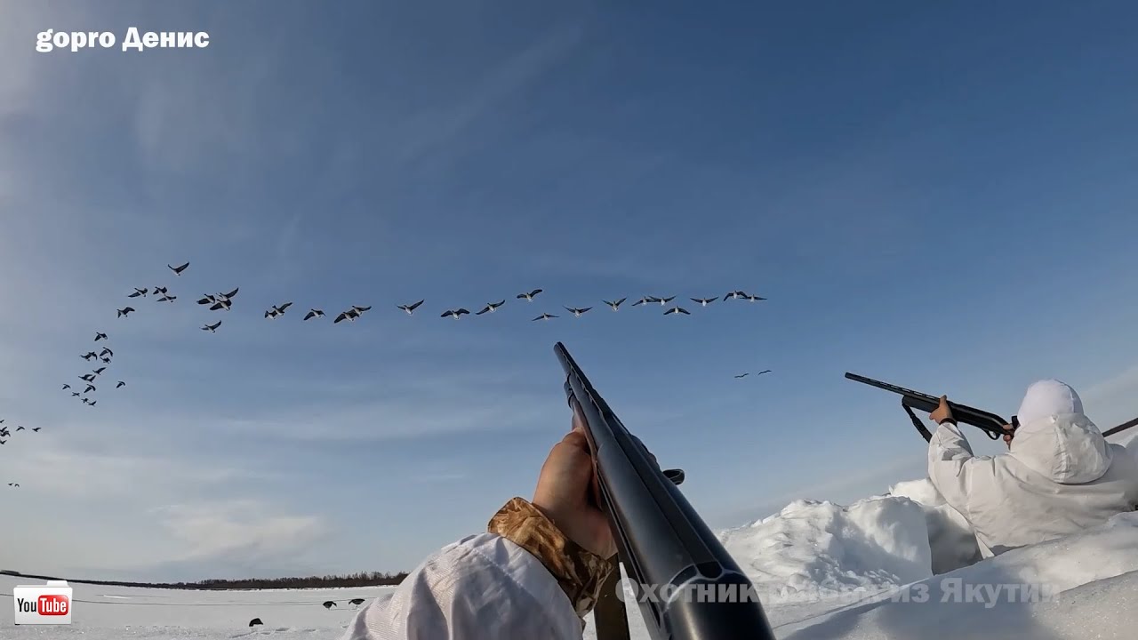 ОХОТА НА ГУСЯ. ЛУЧШИЕ МОМЕНТЫ