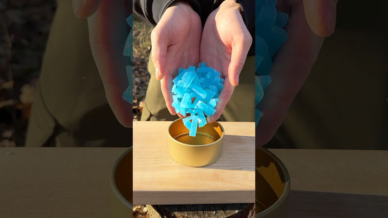 ✅The guy shows SURVIVAL skills in the wild forest 🌳🧼 #camping #survival #bushcraft #outdoors