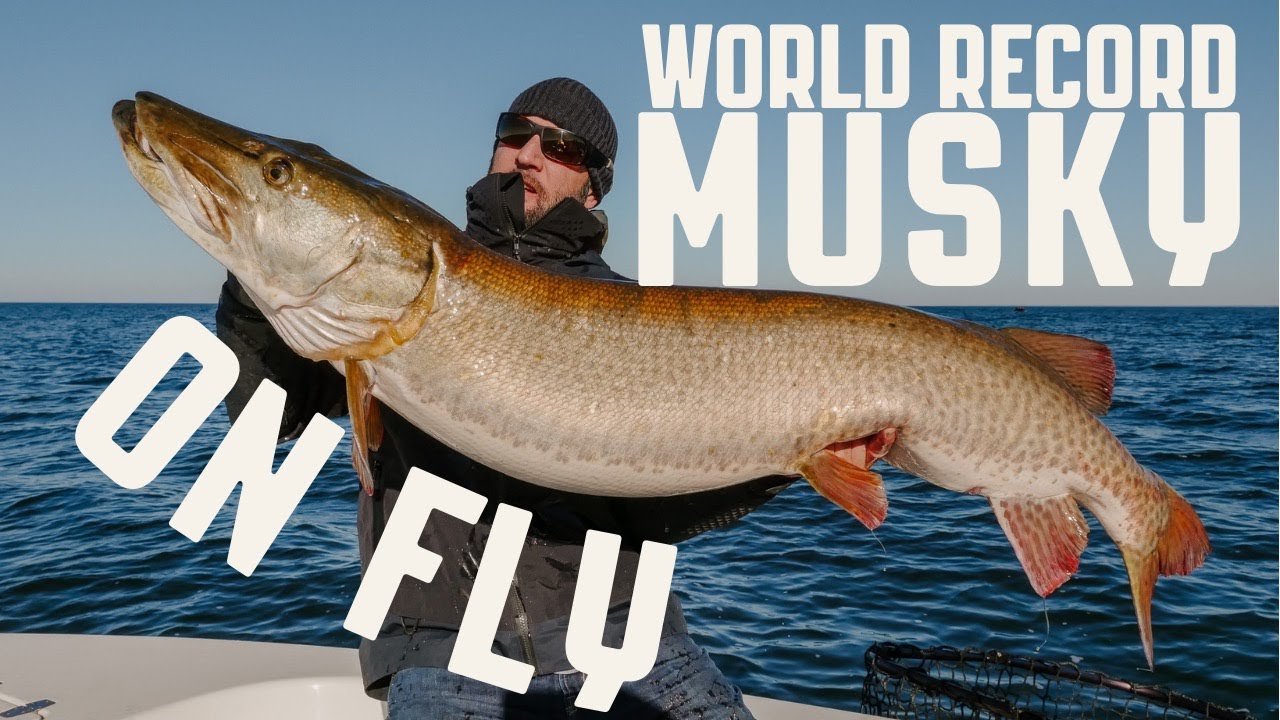 World Record Musky on The Fly (Dinosaur Donkey Head)