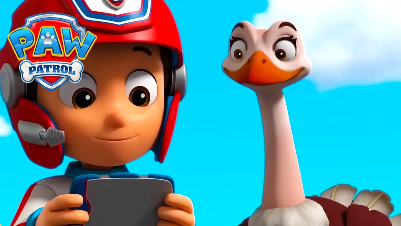 羽毛朋友们！🐦 - PAW Patrol 汪汪隊立大功 - 兒童卡通