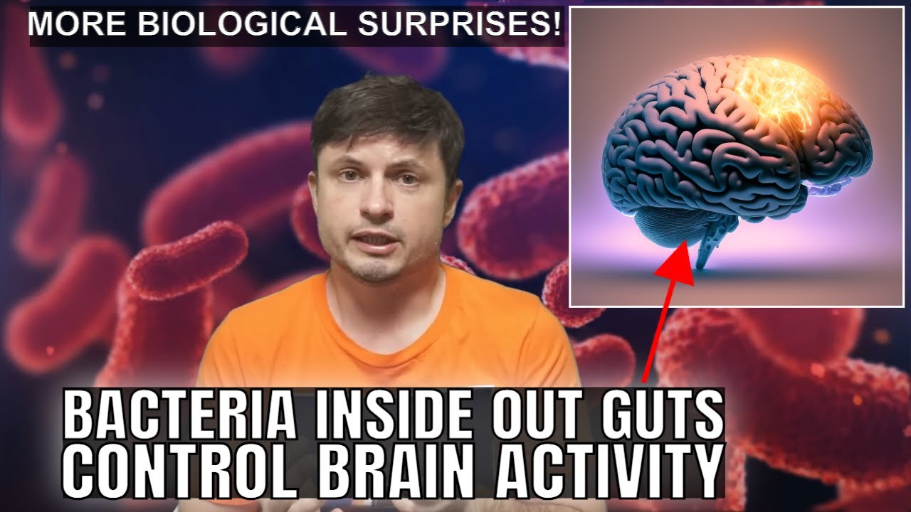Direct Connection Between Gut Microbiome and Human Intelligence