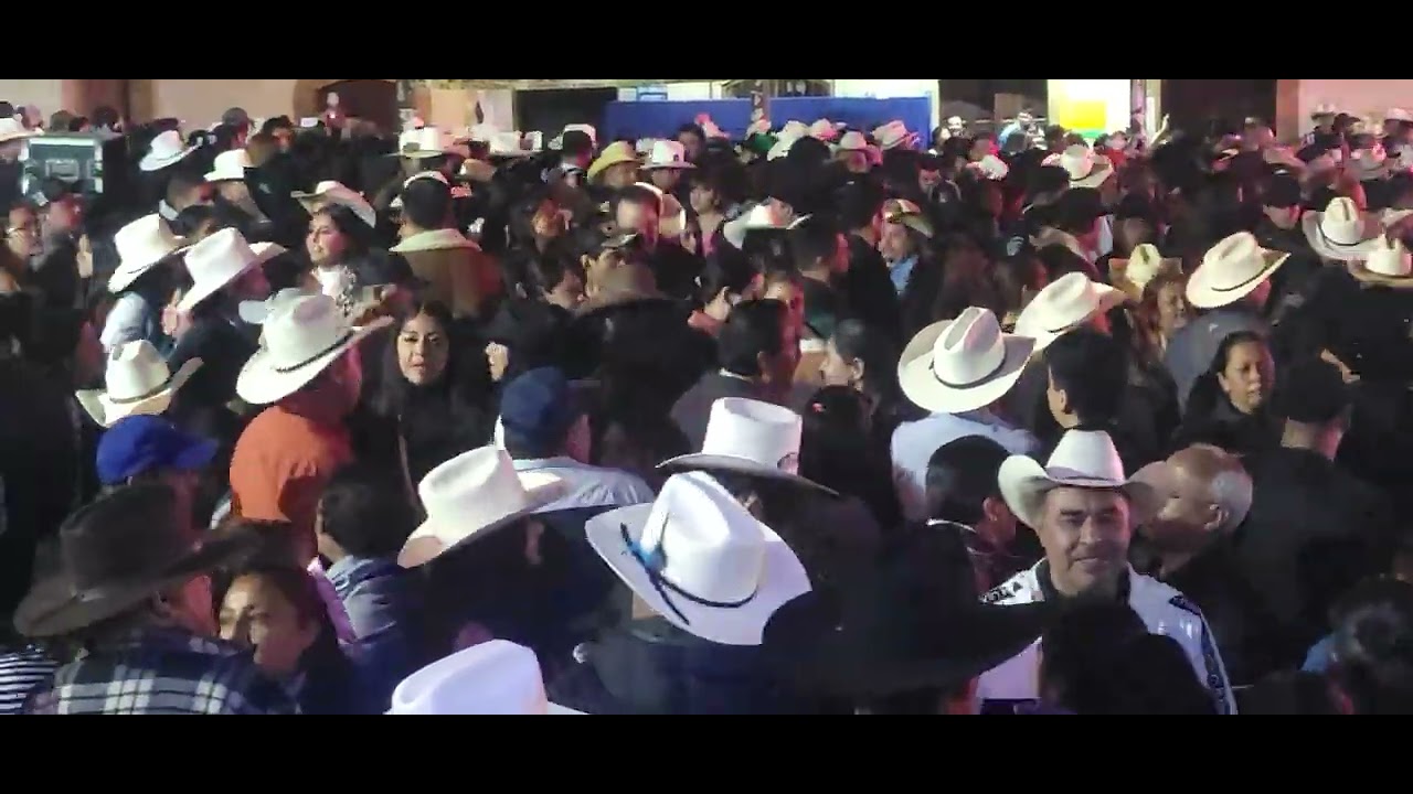 Carnaval zacualpan veracruz 2026 