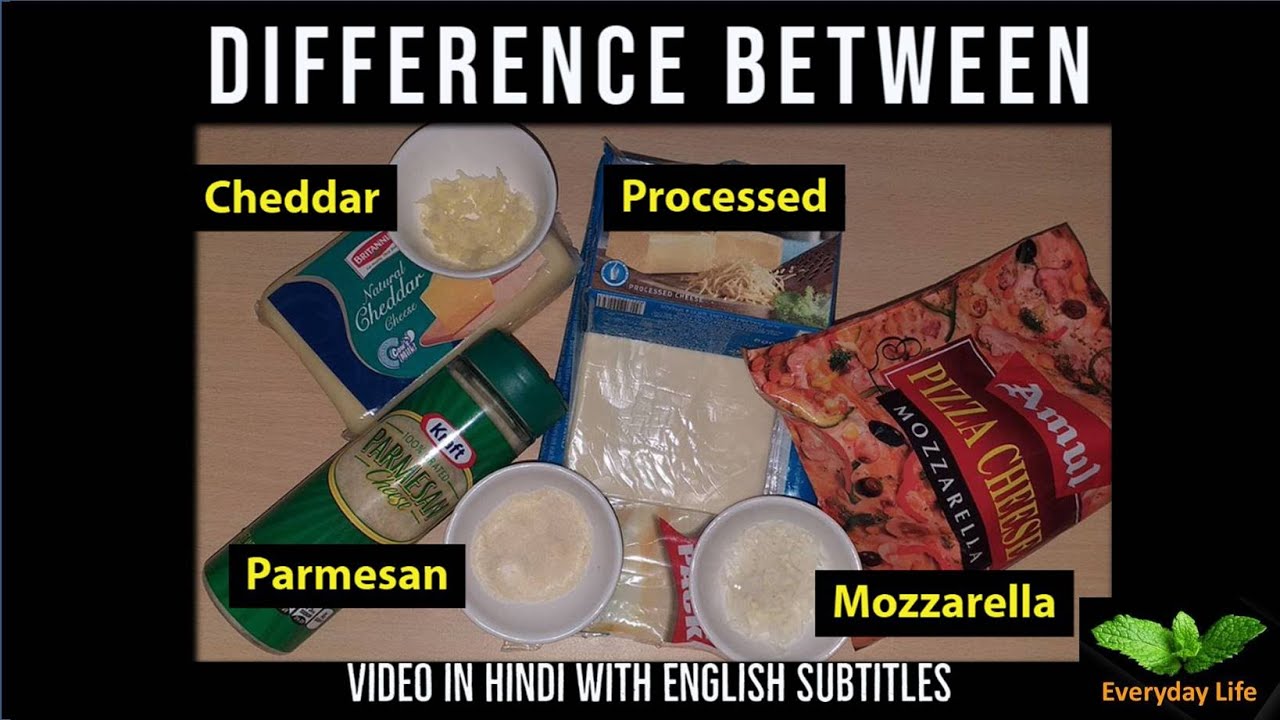 Difference b/w Mozzarella, Processed, Cheddar & Parmesan Cheese | चीज़ के प्रकार  | Everyday LIfe #47