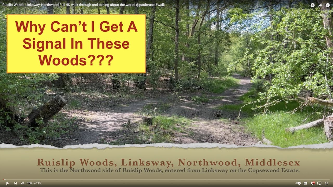 Ruislip Woods Linksway, Northwood Full 4K walk through and talking about the world! @paulcruse #walk