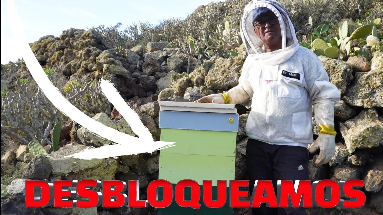 Desbloqueamos colmena