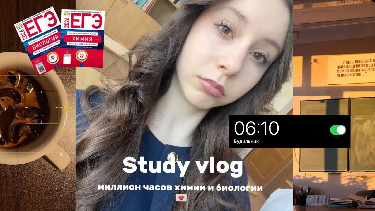 study vlog /  очень много учебы и подготовки к ЕГЭ химбио🧪🤍
