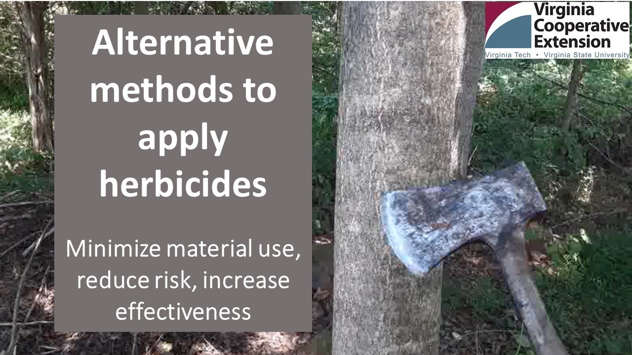 Fifteen Minutes in the Forest: Alternative Herbicide Application Methods