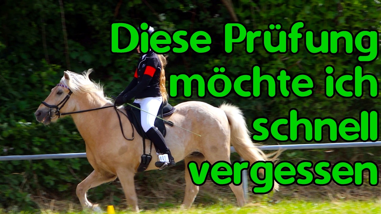 Unsere erste Springprüfung - ist das eine gute Idee?