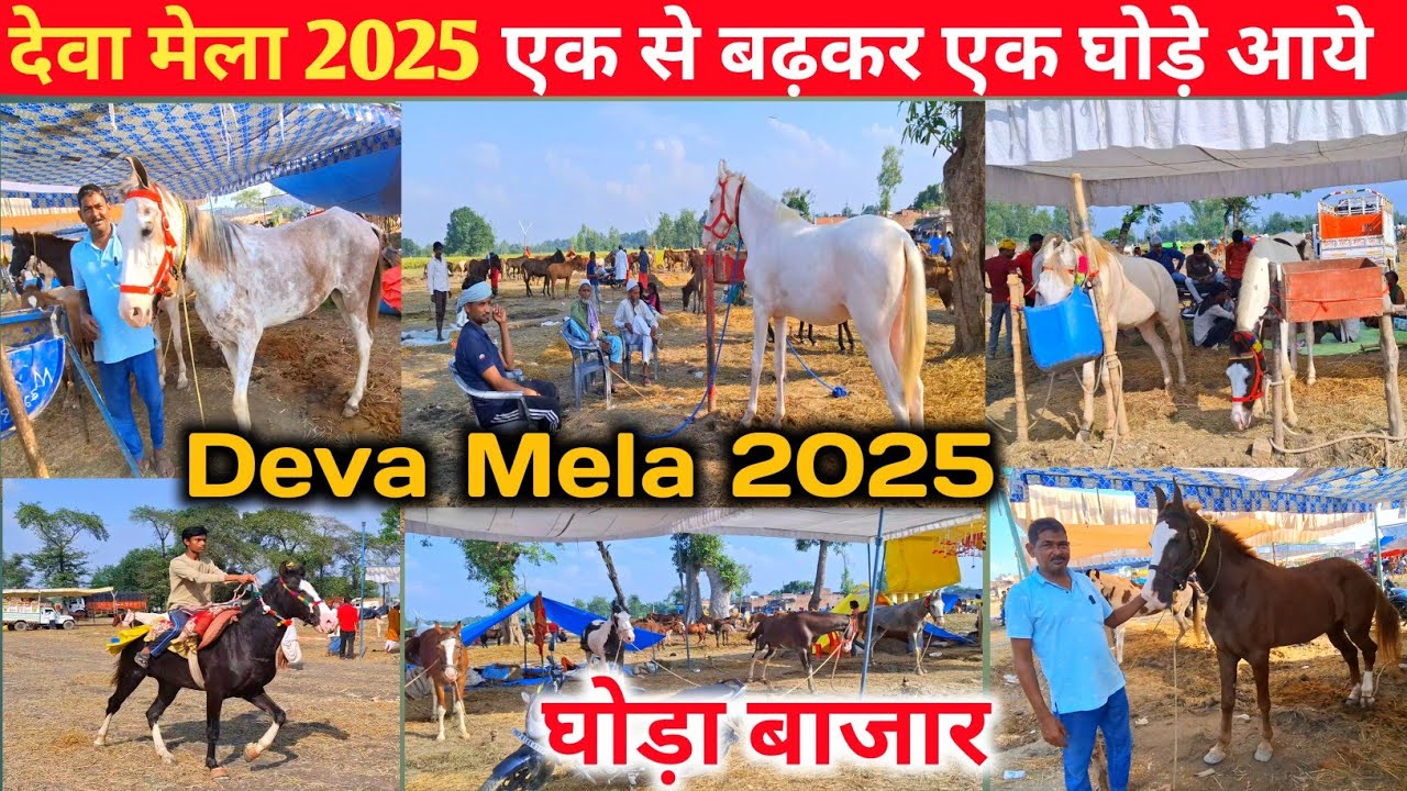 Deva मेला 2025 घोड़ा बाजार New Update ♨️🐎 |Dewa sharif mela 2025 |Horse Market |Deva mela 2025