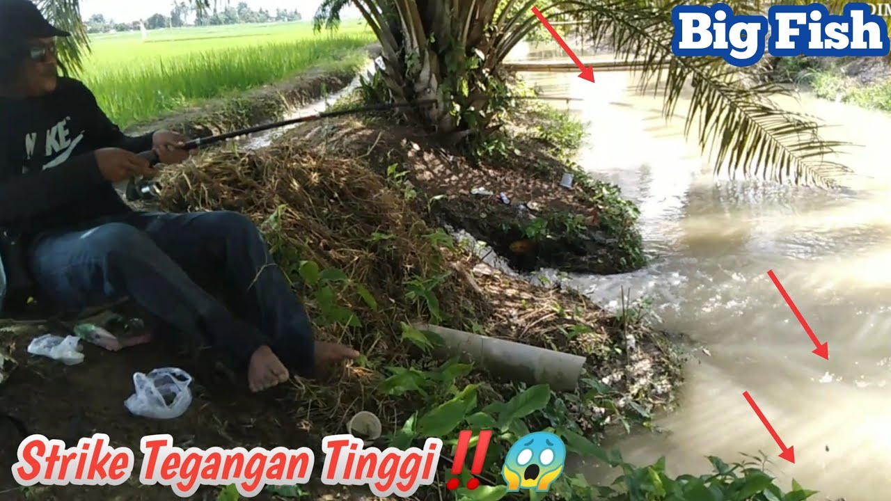 Fishing 2022 - Najnowszy Fishing Fishing 2022 - Fishing MANIA 2022 - Tense Fish Angler‼️