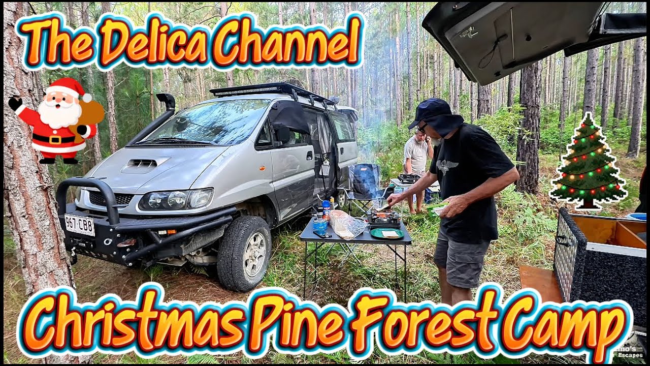 Лагерь «Рождественский сосновый лес»