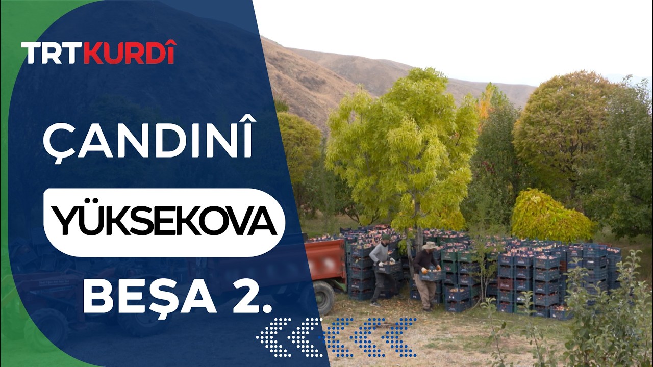 Çandinî Beşa - 2. (Yüksekova)
