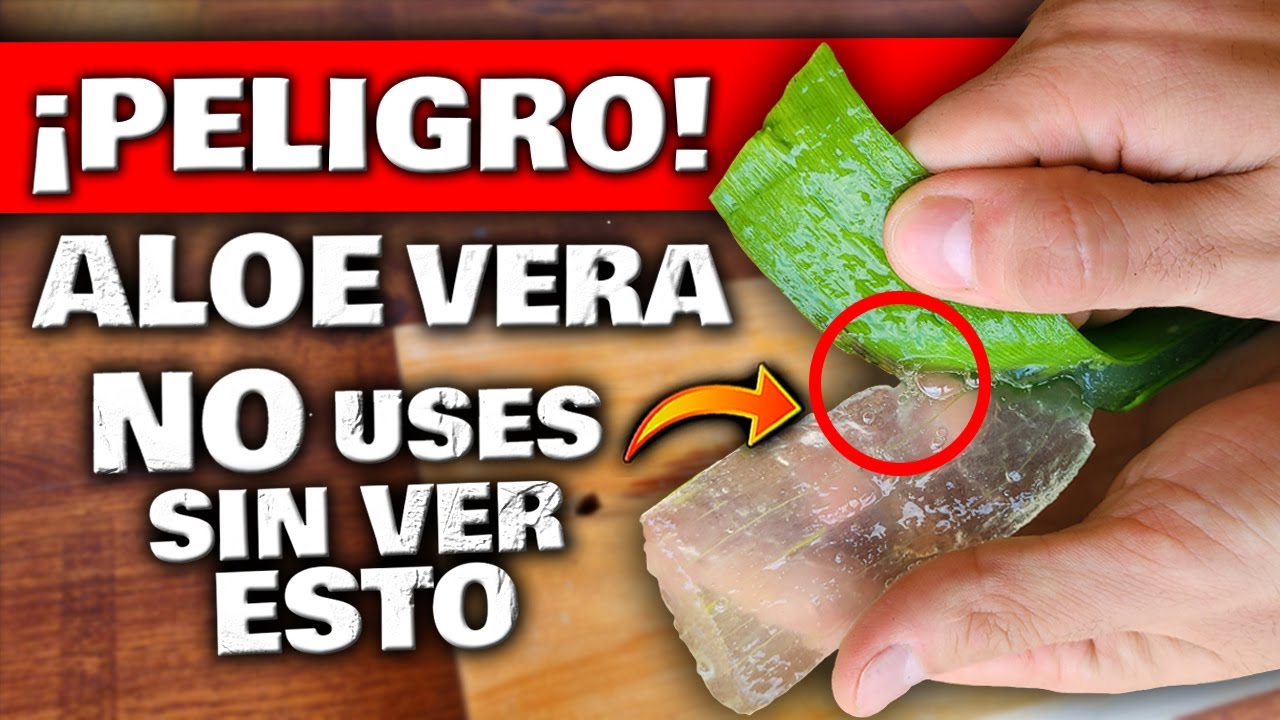 &iexcl;CUIDADO! Esto PASA Si USAS ALOE VERA o S&Aacute;BILA | DEBES VER ESTO | RIESGOS, Beneficios y Propiedades