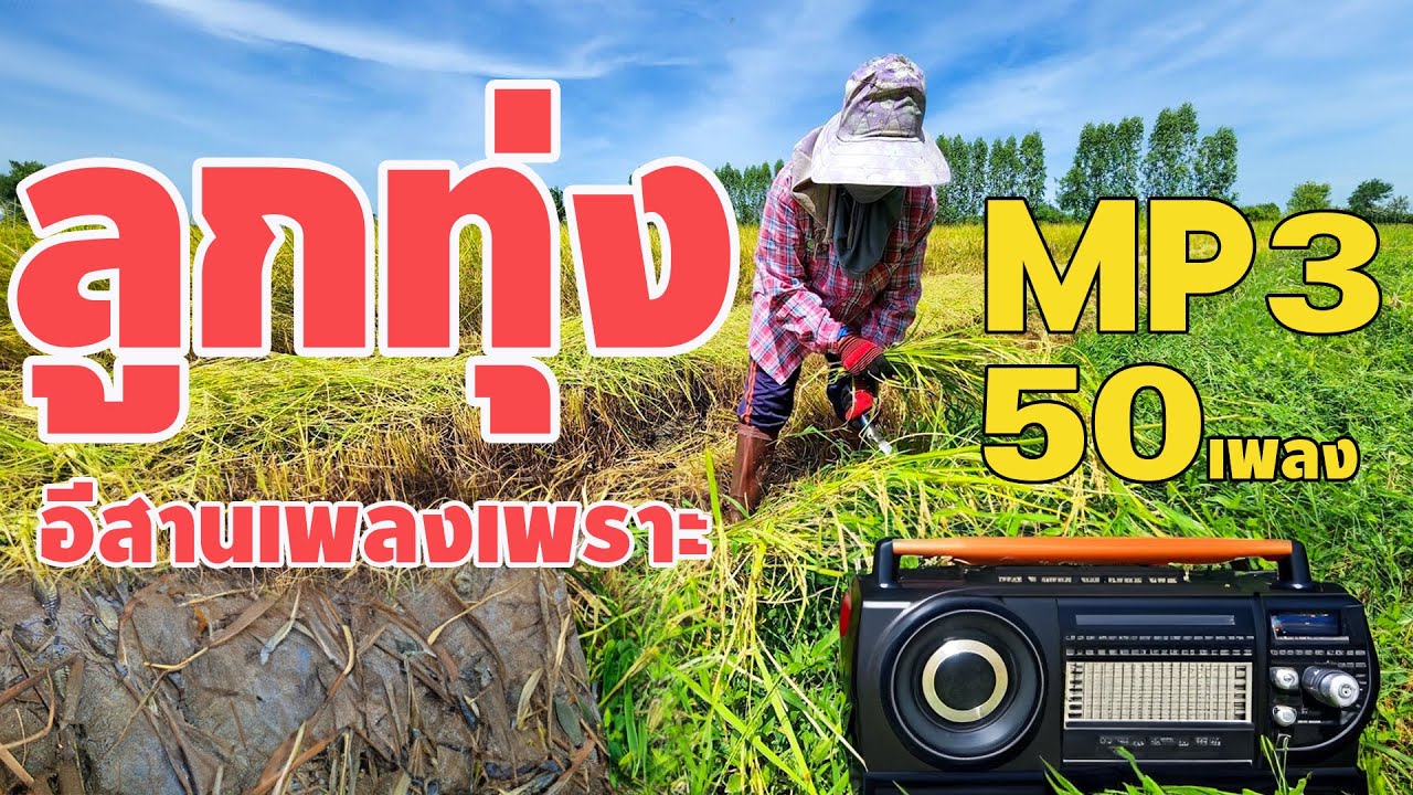 ลูกทุ่งอีสานเพลงเพราะฟังต่อเนื่องยาวๆ