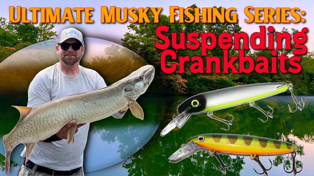 Ultimate Musky Fishing Suspending Crankbaits