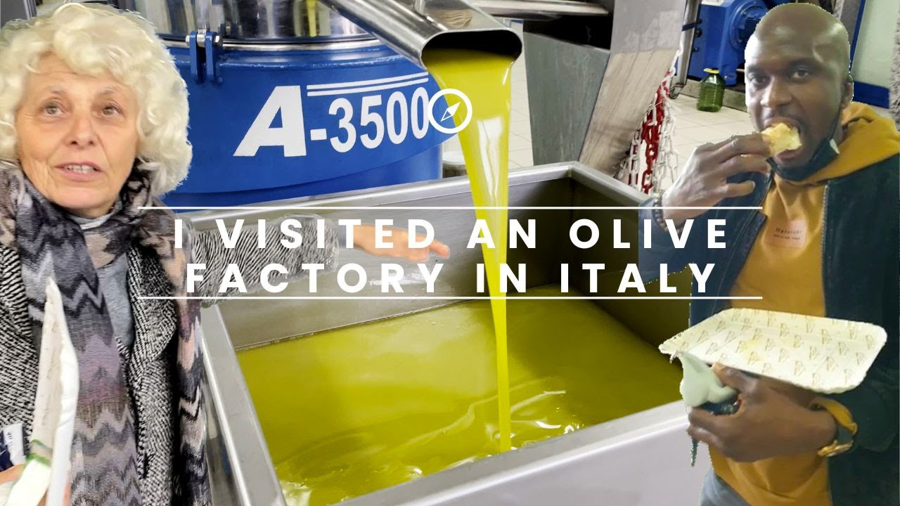 I visited an Olive Oil factory in Albano Laziale Italy, 1 hour from Rome