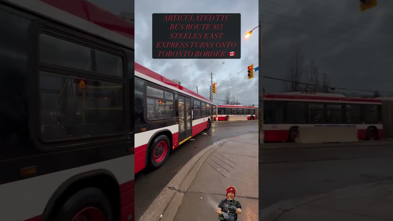 ARTICULATED TTC BUS ROUTE 953 STEELES EAST EXPRESS TURNS ONTO TORONTO BORDER Feb 11 🇨🇦 #ttcbuses