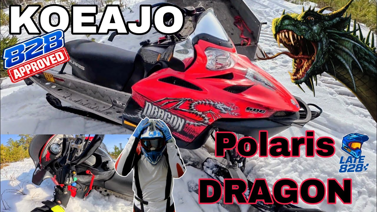 KOEAJOSSA: Polaris Dragon 600 Switchback