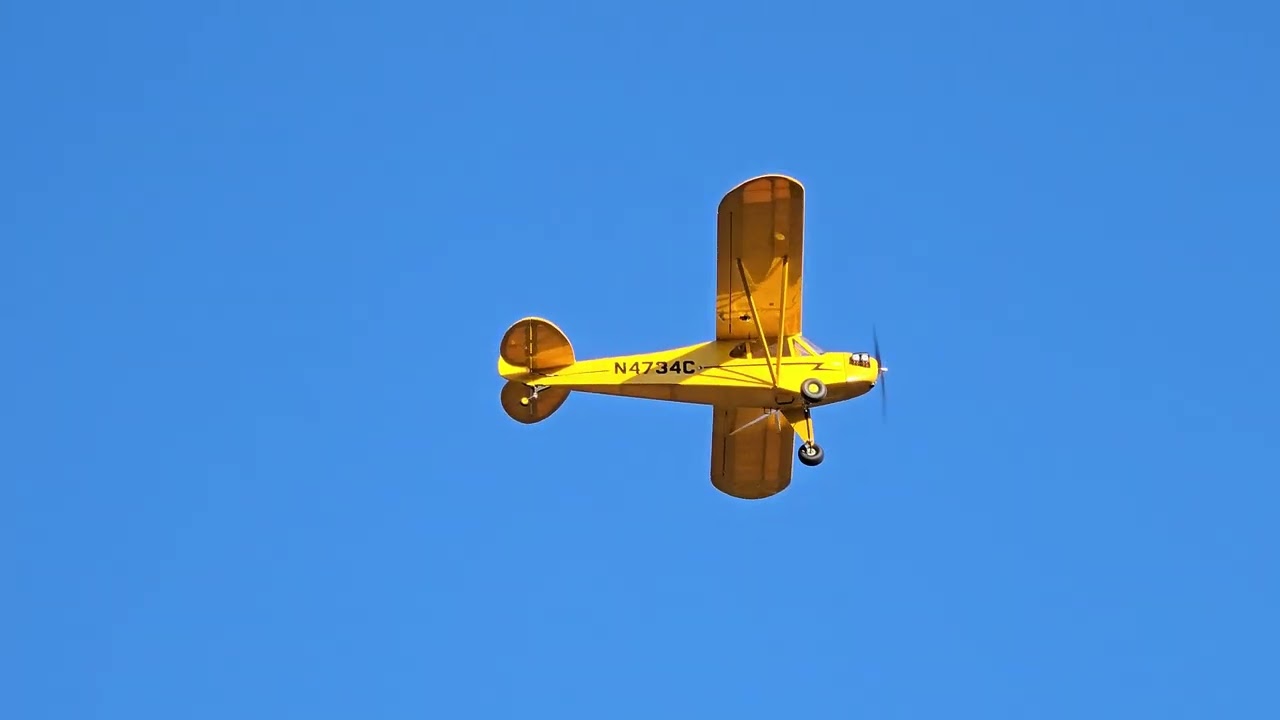 Brian's Maiden Flight of His Cub