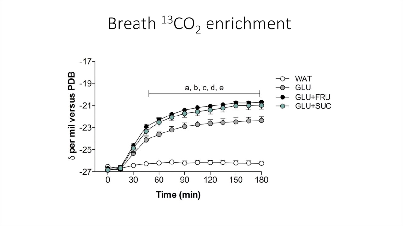 Exogenous Carbohydrate Oxidation (Advanced)