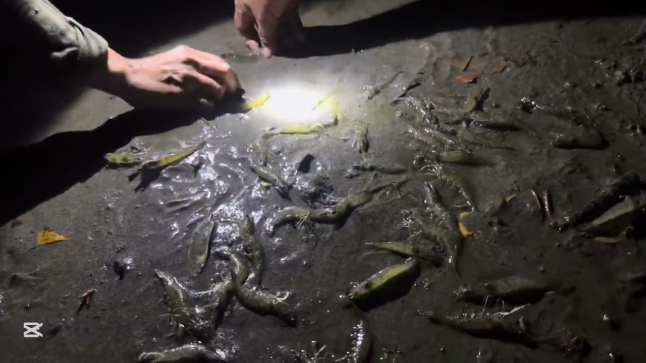 Un buen día de pesca!! 🎣 🦐🦀