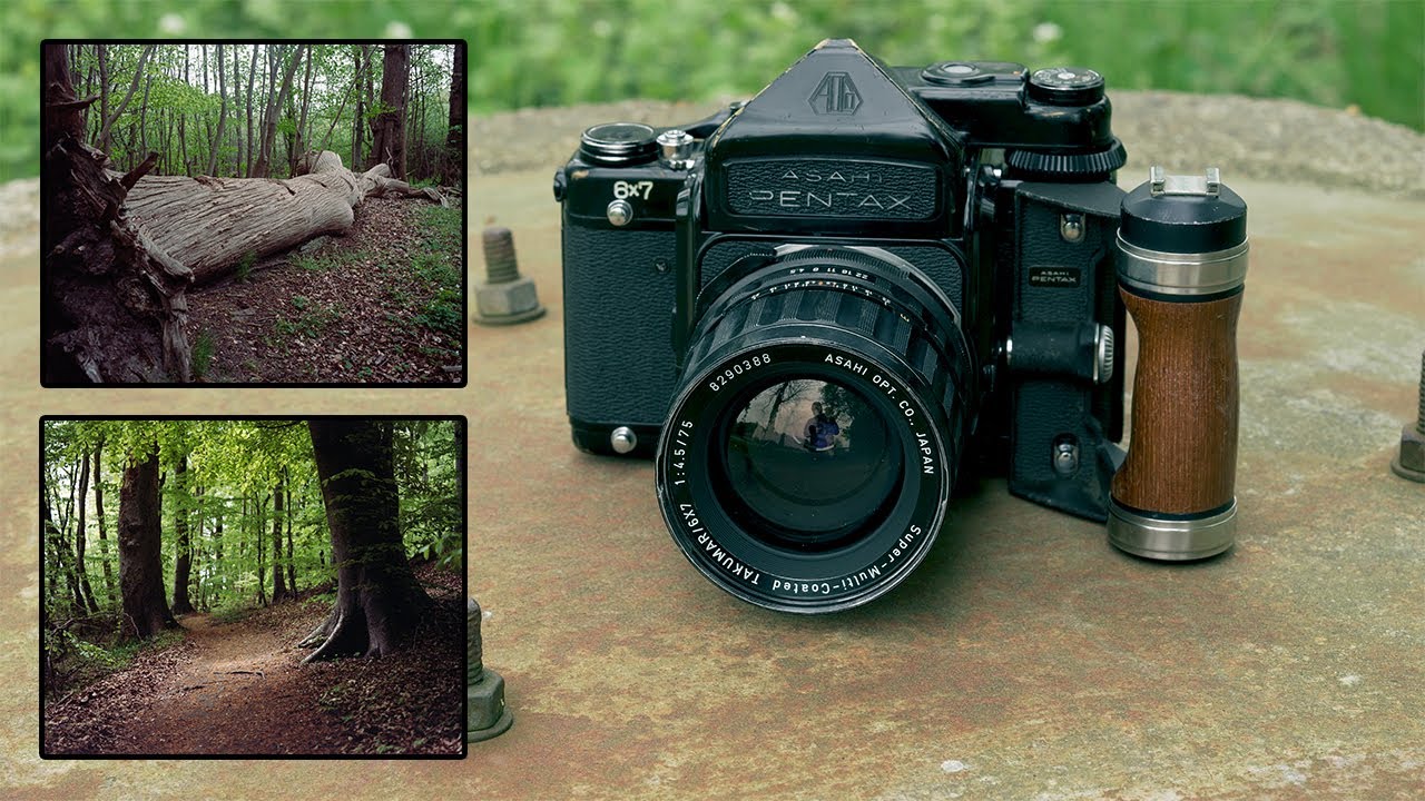 Pentax 6x7 + 75mm f/4.5 | A Forest Photowalk