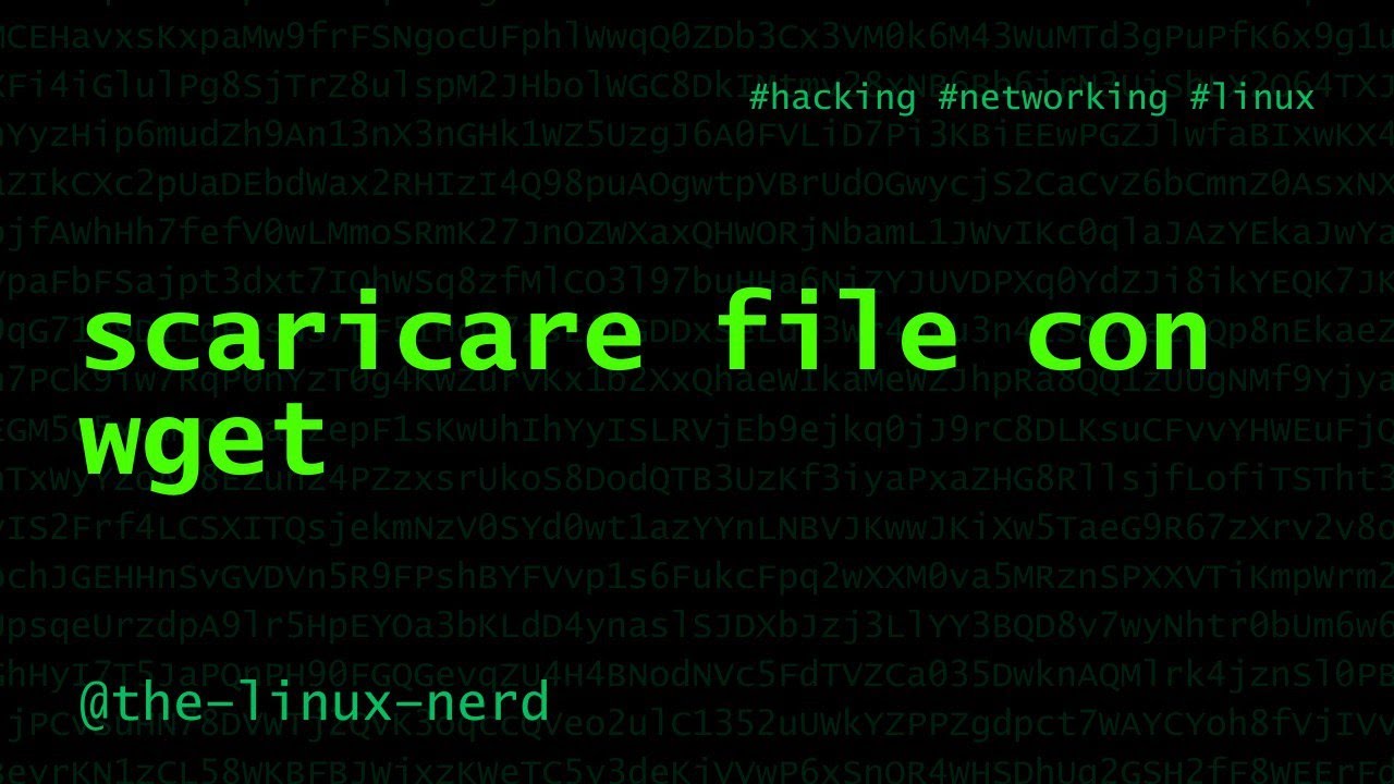 GNU/Linux: scaricare file da internet con wget
