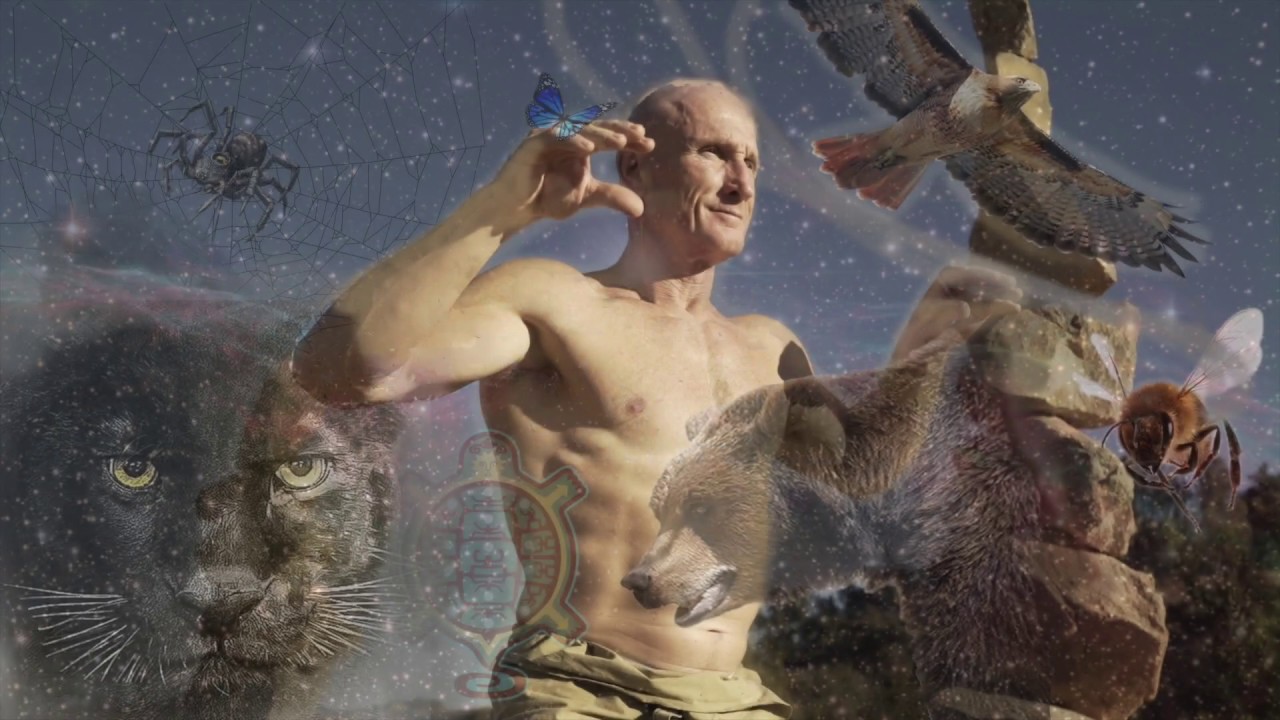 What are Power Animals and Spirit Guides?