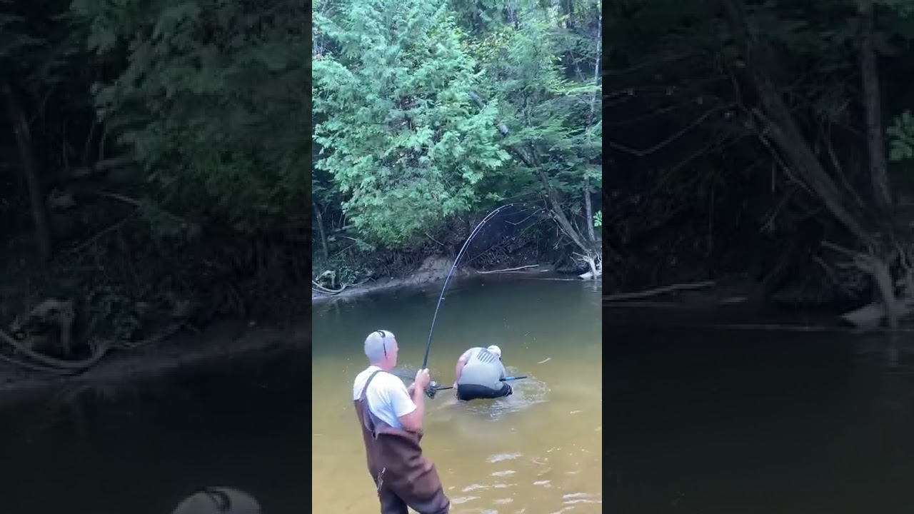 2022 Fall Salmon run