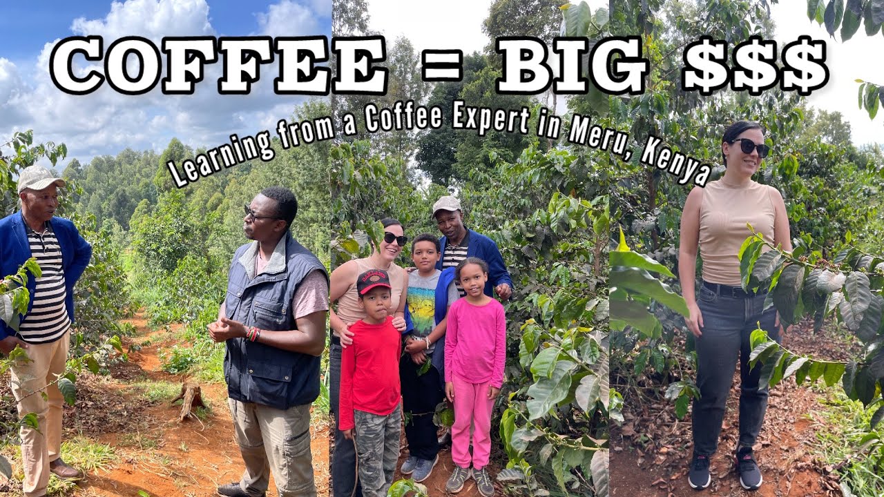 There’s BIG Opportunity in Coffee Farming!  || Agribusiness in Kenya || VLOG