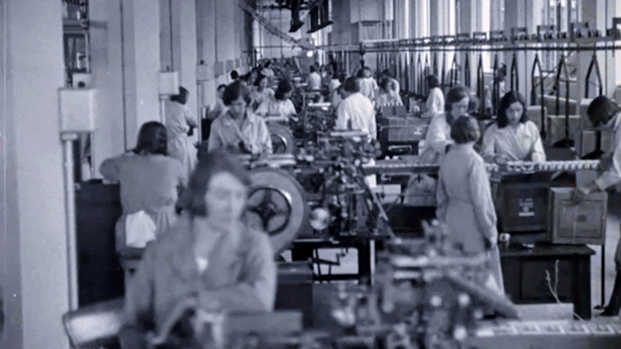 L'usine Van Nelle, l'histoire d'un pilier des Pays-Bas