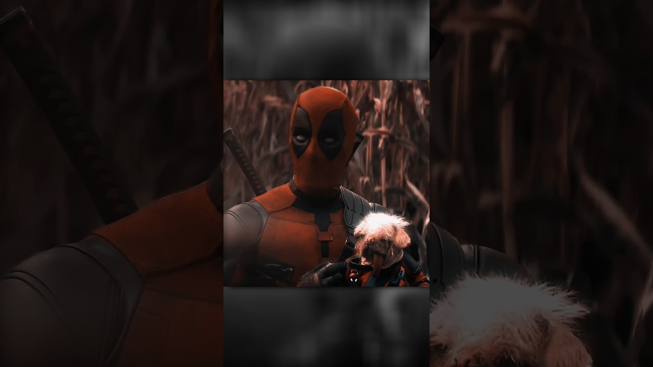 Bro Just Wanted To Stole Dog 😂 | Deadpool And Wolverine | Vai Vai Trair DJ 
