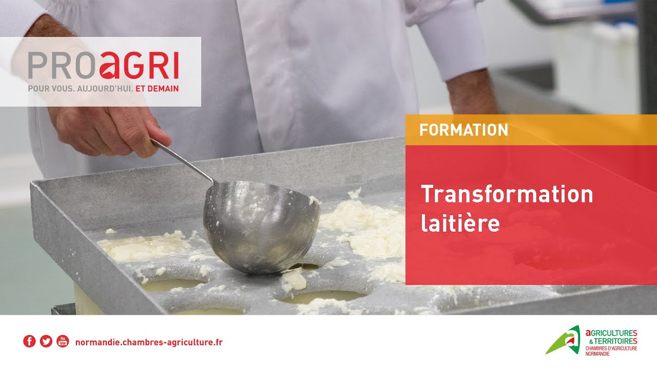 Formations en transformation laitière
