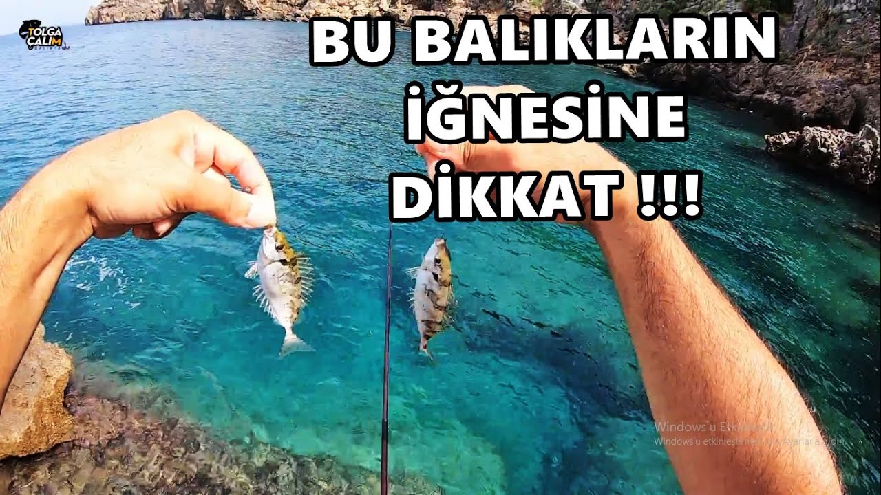 BAYAT VE KÜFLÜ EKMEKLE BALIK YAKALADIM ! Göl Kamışı ile Canlı Yem Yakalama Taktikleri