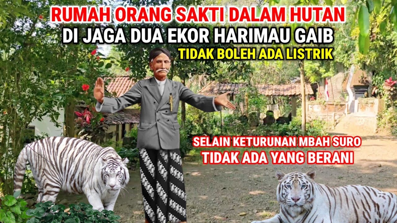 Ngeri !! Kisah Nyata Mbah Suro Orang Sakti Yang Rumahnya Dijaga Dua Harimau Gaib