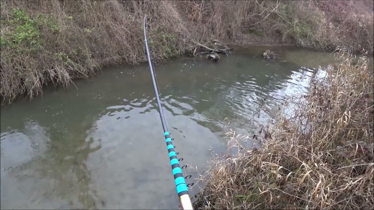 Un pesce enorme nel piccolo fosso