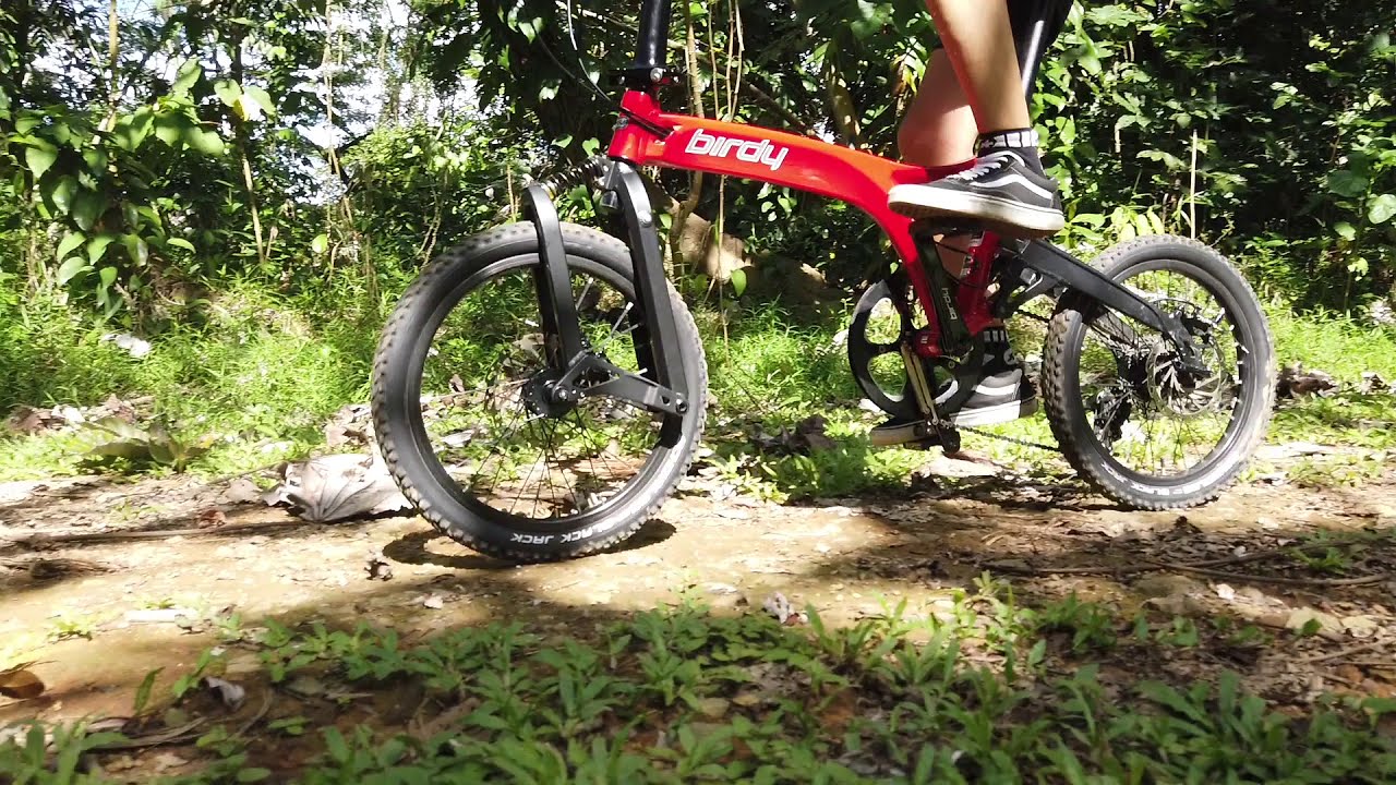 MOST VERSATILE FOLDABLE BIKE: Birdy Gravel
