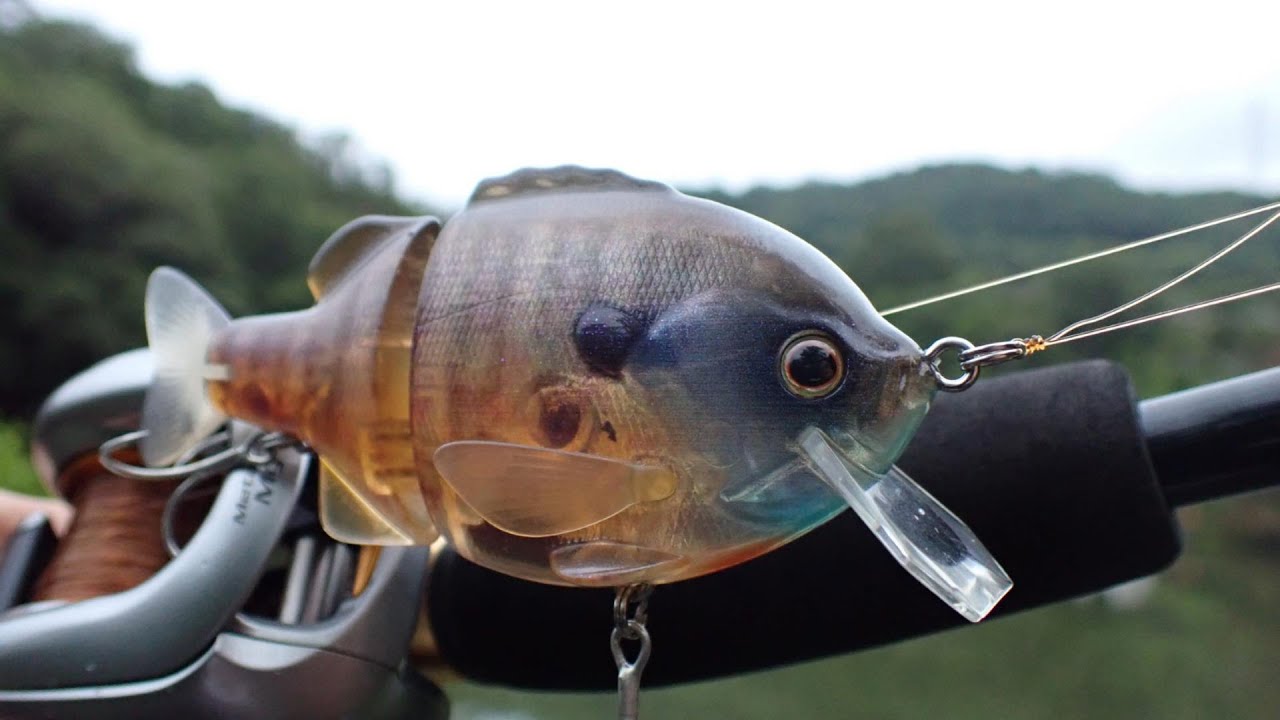 [ASMR] Relaxing Summer Bass Fishing