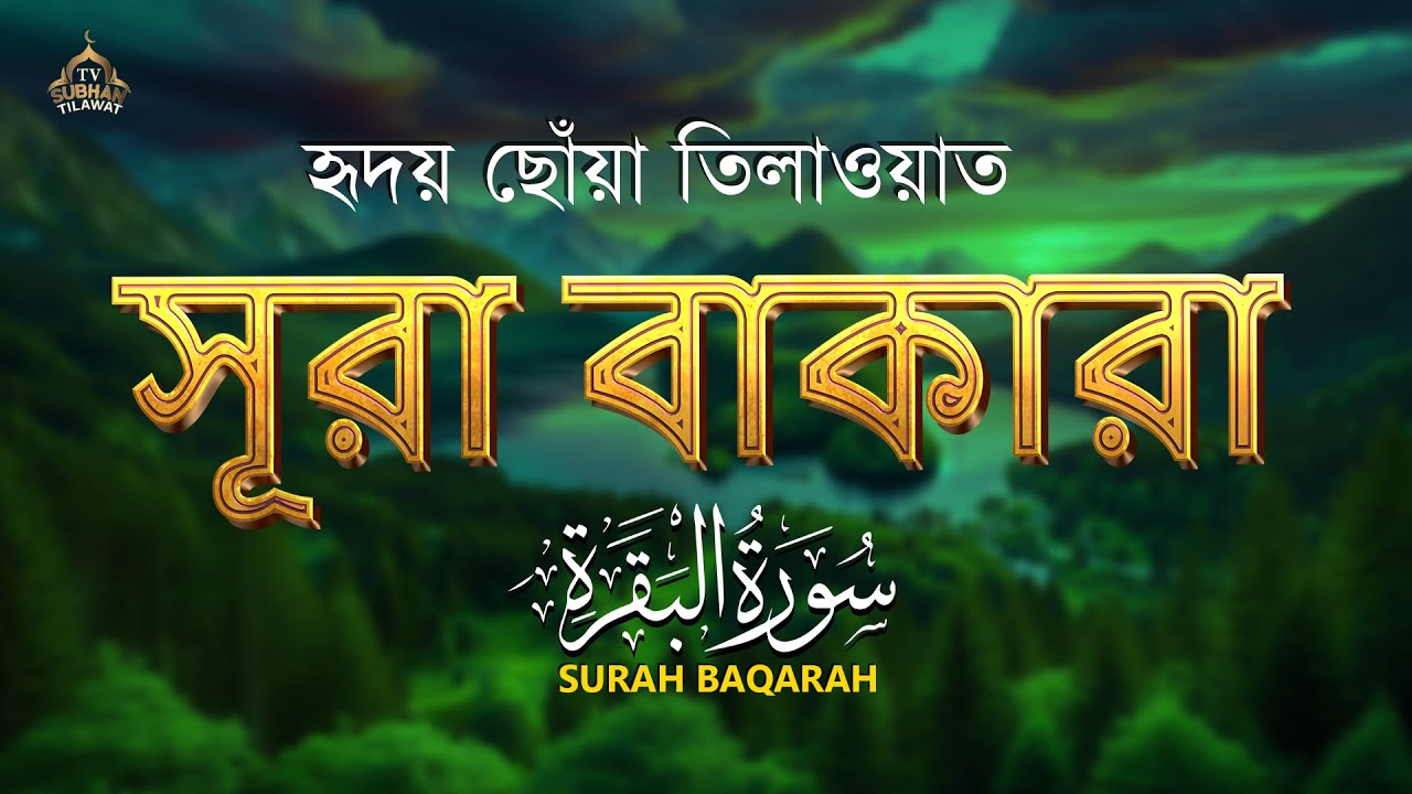 🌿 পৃথিবীর সবচেয়ে আবেগময় সুরা বাকারা তেলাওয়াত | Surah Al Baqarah (سورة البقرة) by Alaa Aqel 🎧