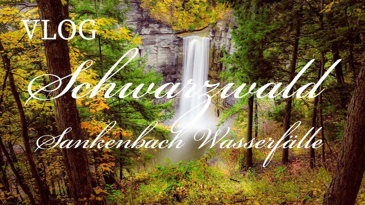 Leben im Schwarzwald Sankenbach Wasserfälle und Sankenbach See Kniebis VLOG #blackforest