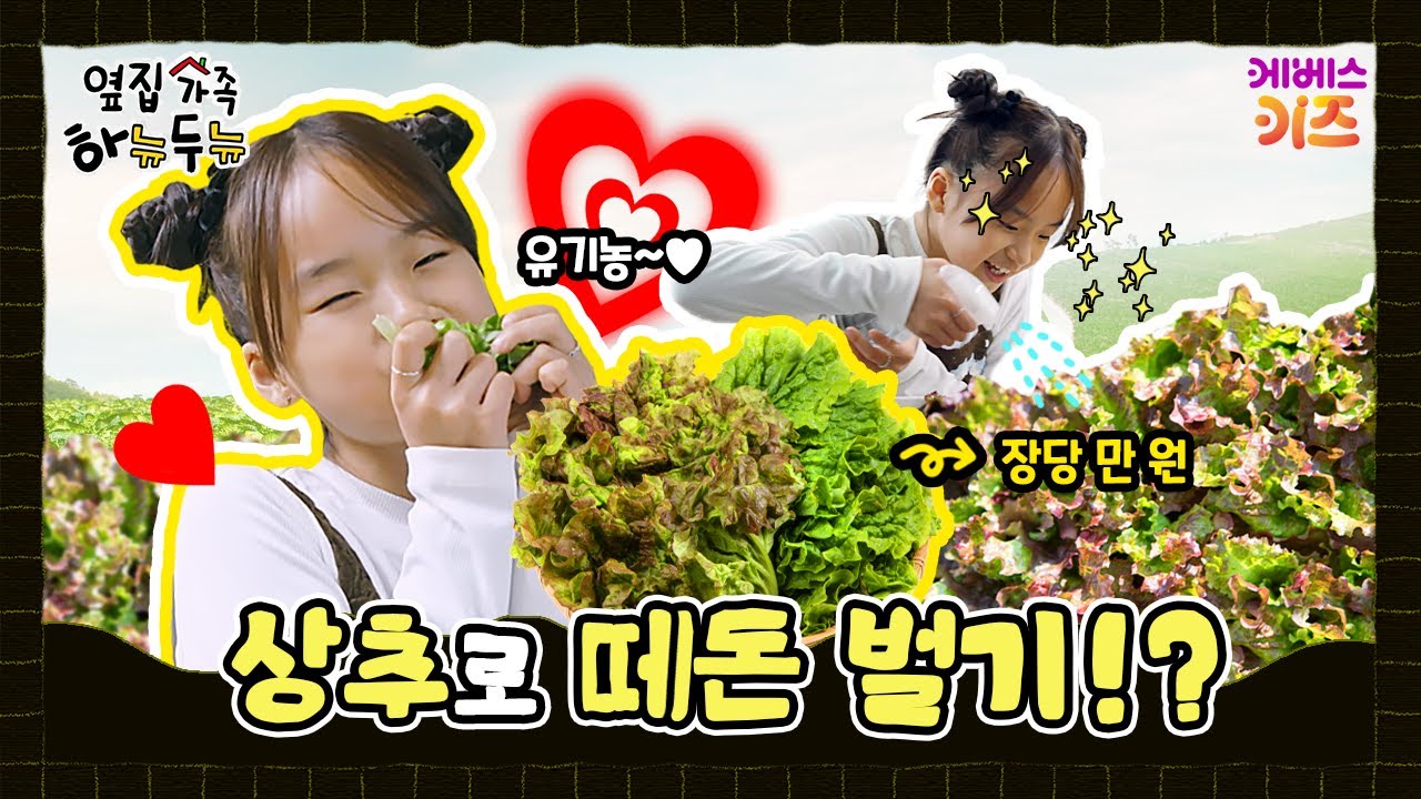 두뉴가 상추를 키우는 이유?ㅣ옆집 가족 하뉴두뉴ㅣ방과 후 초능력ㅣKBS 260205 방송