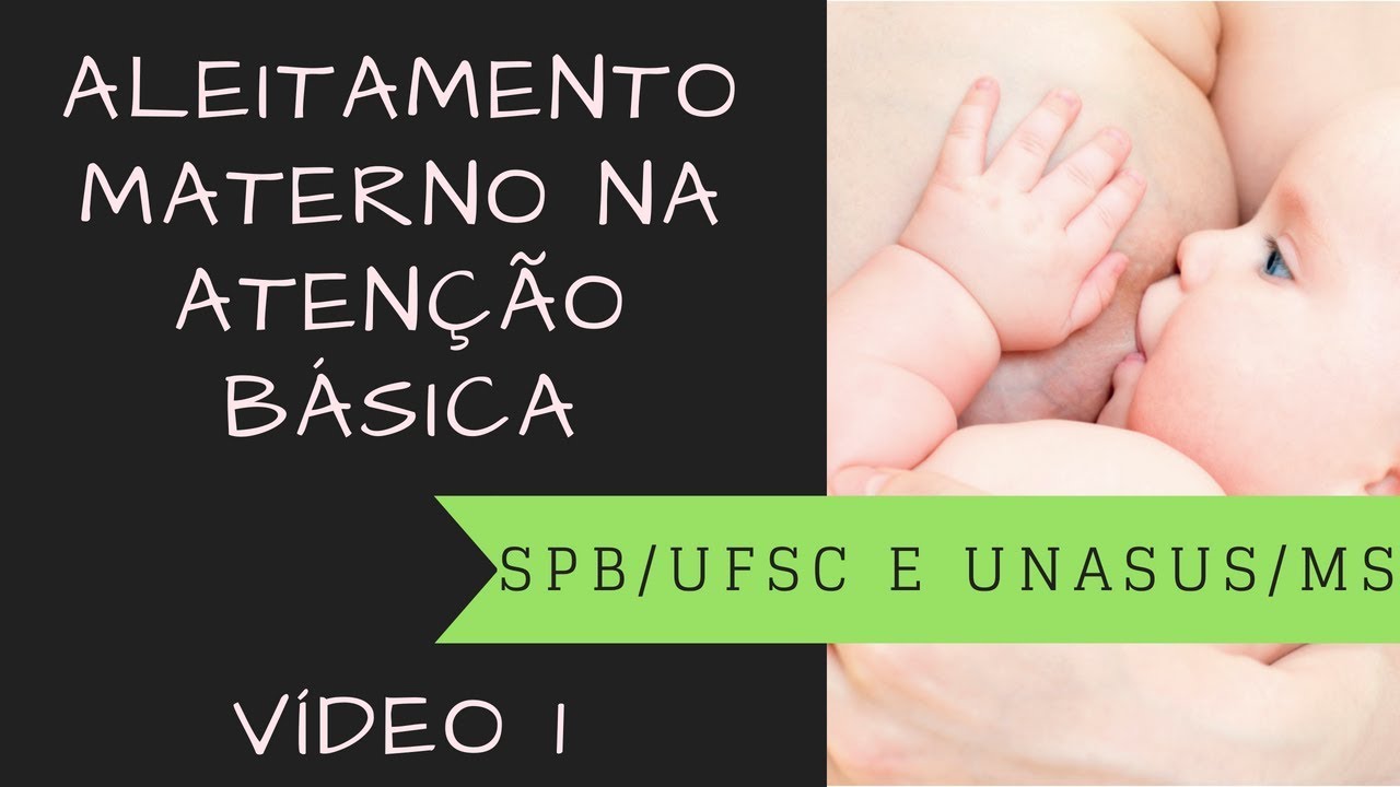 Promoção do Aleitamento Materno na Atenção Básica - 1