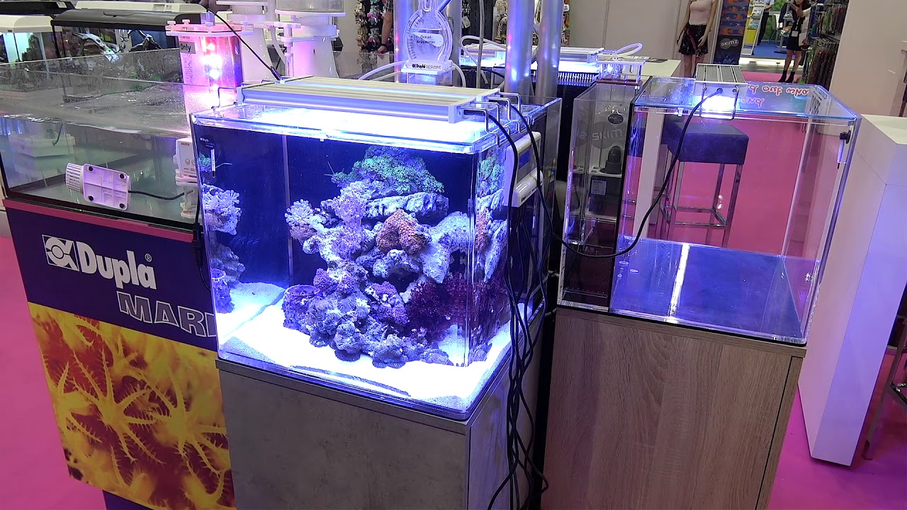 Interzoo 2018: Der 80 Liter Nano Ocean Cube von Dupla Marin