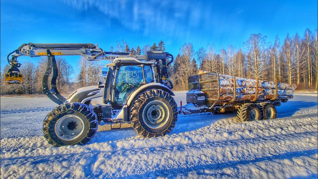 Metsävaltralla kuusisekamelskaa selvittämässä. Olihan melkoinen savotta!