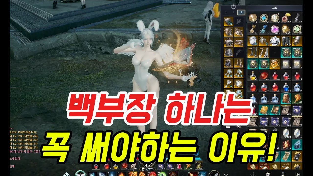 아이온2 백부장 하나는 꼭 써야하는 이유 !! 둘이 셋트가 안겹치는 거였네 ㄷㄷ